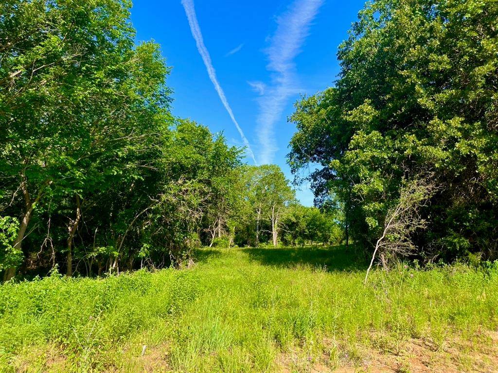 Poolville, TX 76487,Lot 51 Wicklow Ct