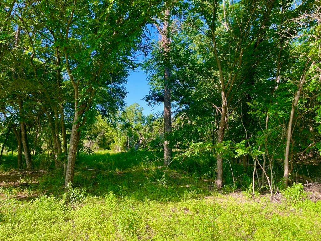 Poolville, TX 76487,Lot 51 Wicklow Ct