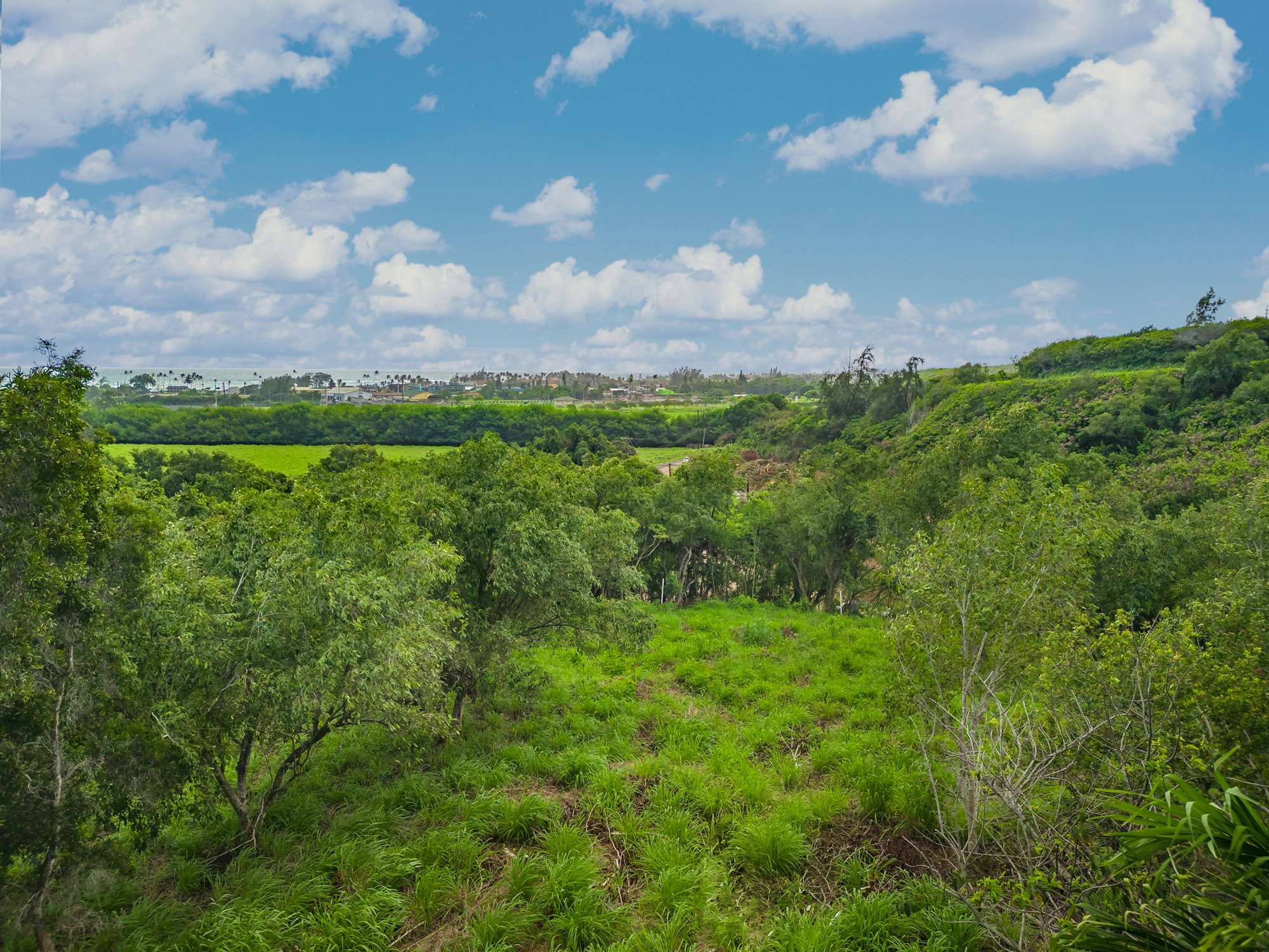 Kapaa, HI 96746,APOPO RD