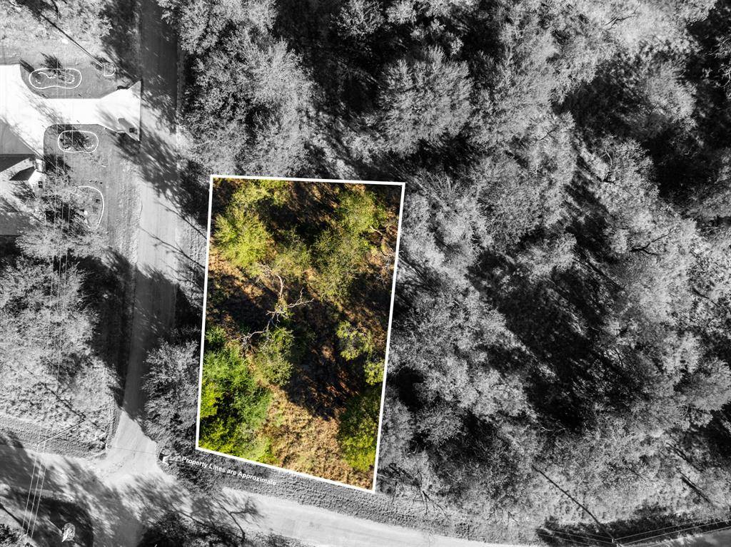 Whitney, TX 76692,17154 Woodway Drive