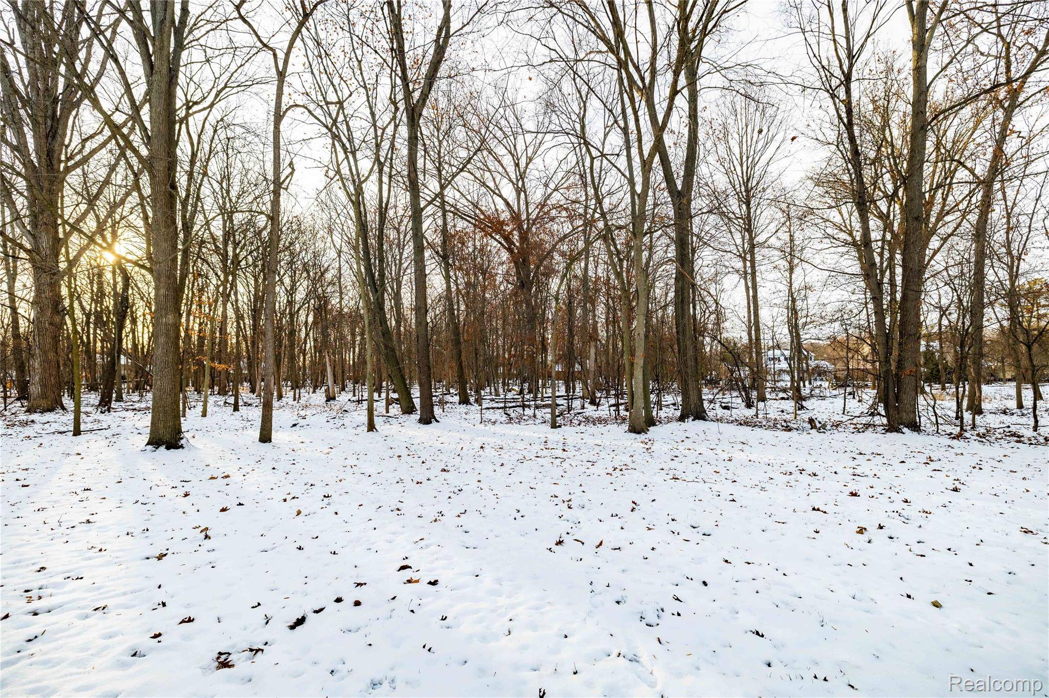 Grosse Ile, MI 48138,22015 Ember CT