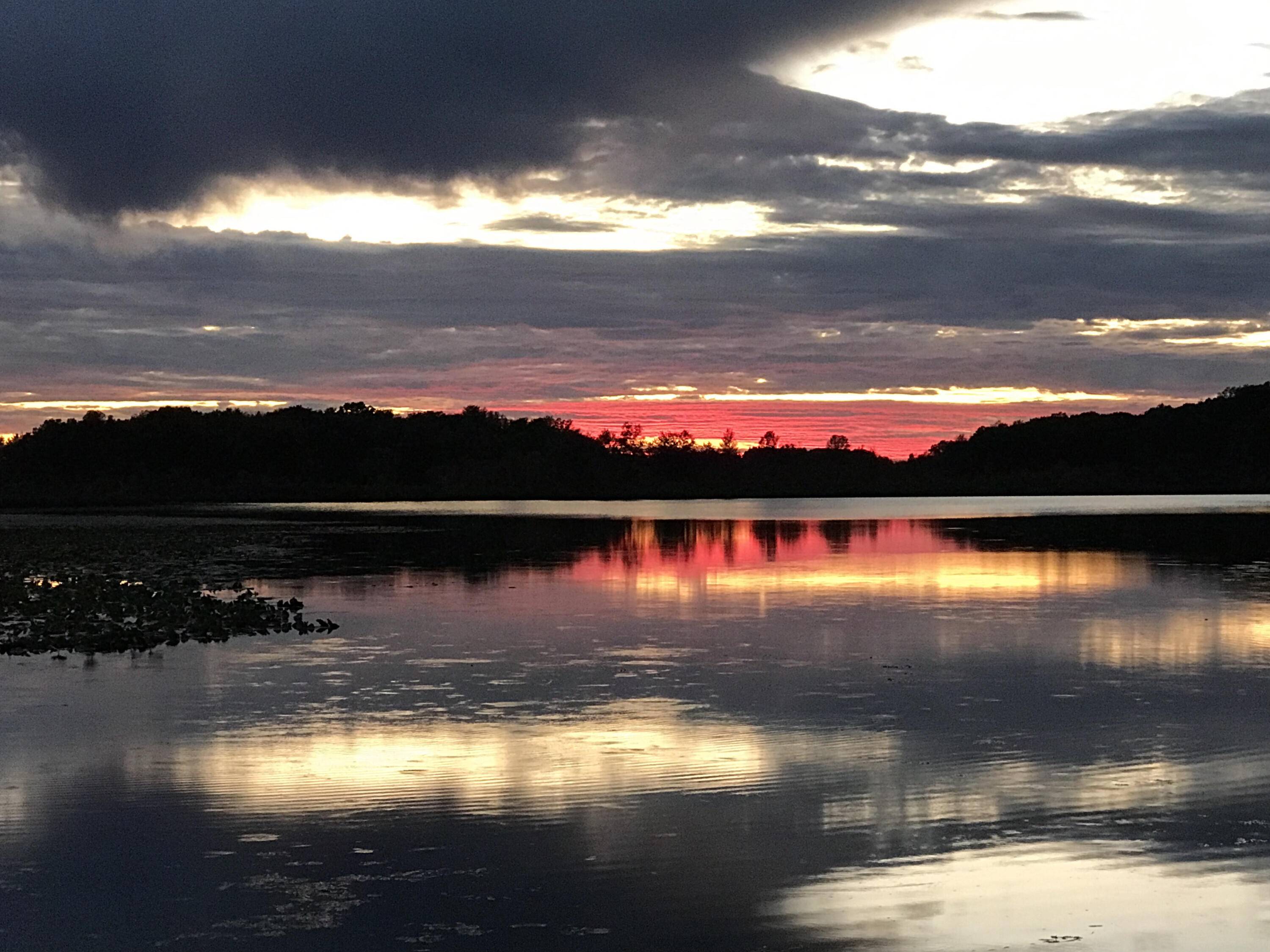 Marcellus, MI 49067,51156 Maple RD