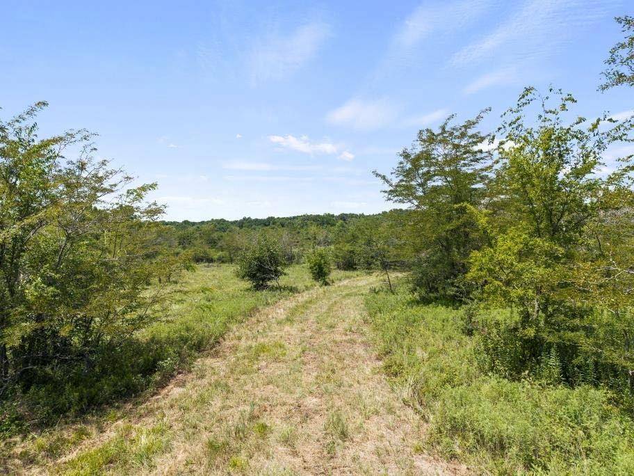 Saltillo, TX 75478,TBD County Road 3527