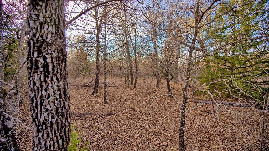 Sunset, TX 76270,1943 Lakeridge