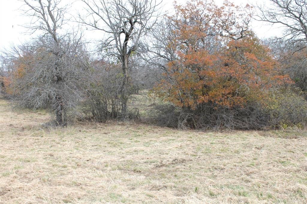 Chico, TX 76431,Lot 202 Ridgeline Drive