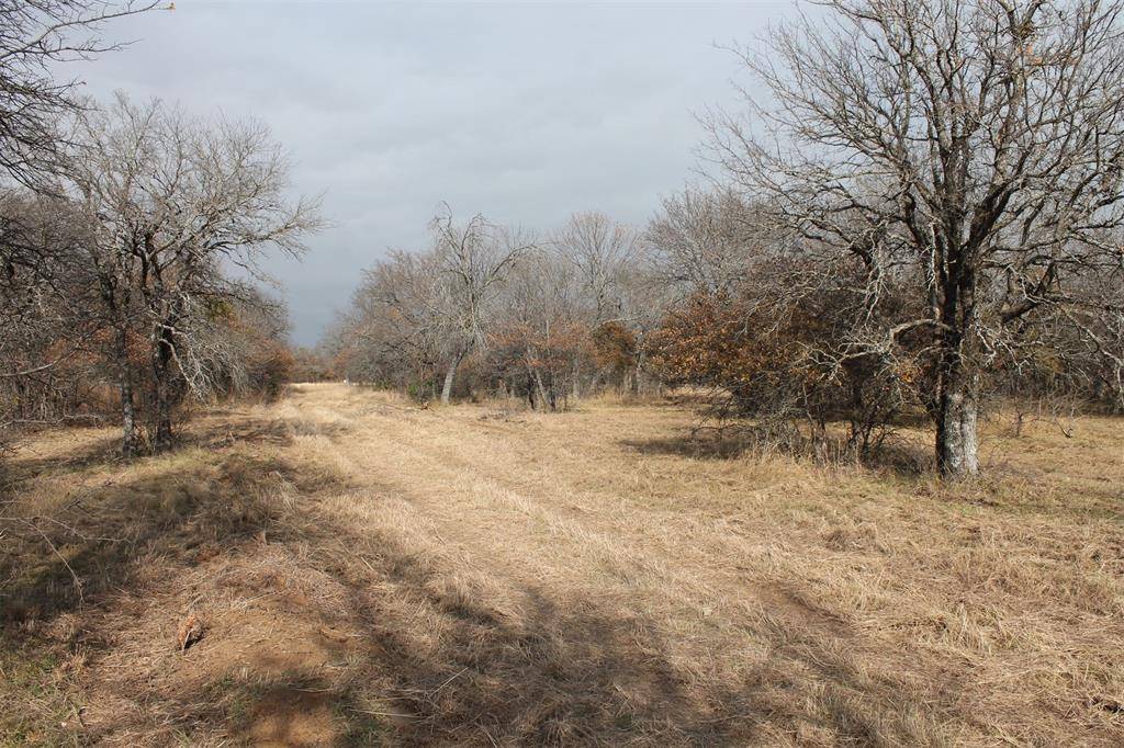 Chico, TX 76431,Lot 203 Ridgeline Drive