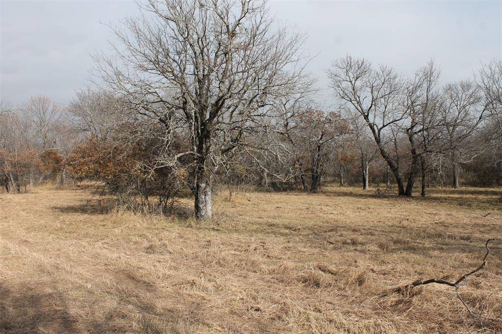 Chico, TX 76431,Lot 203 Ridgeline Drive