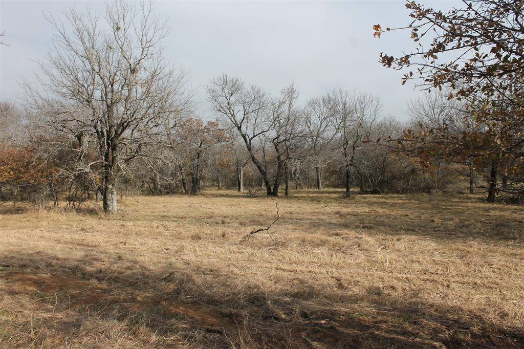 Chico, TX 76431,Lot 203 Ridgeline Drive