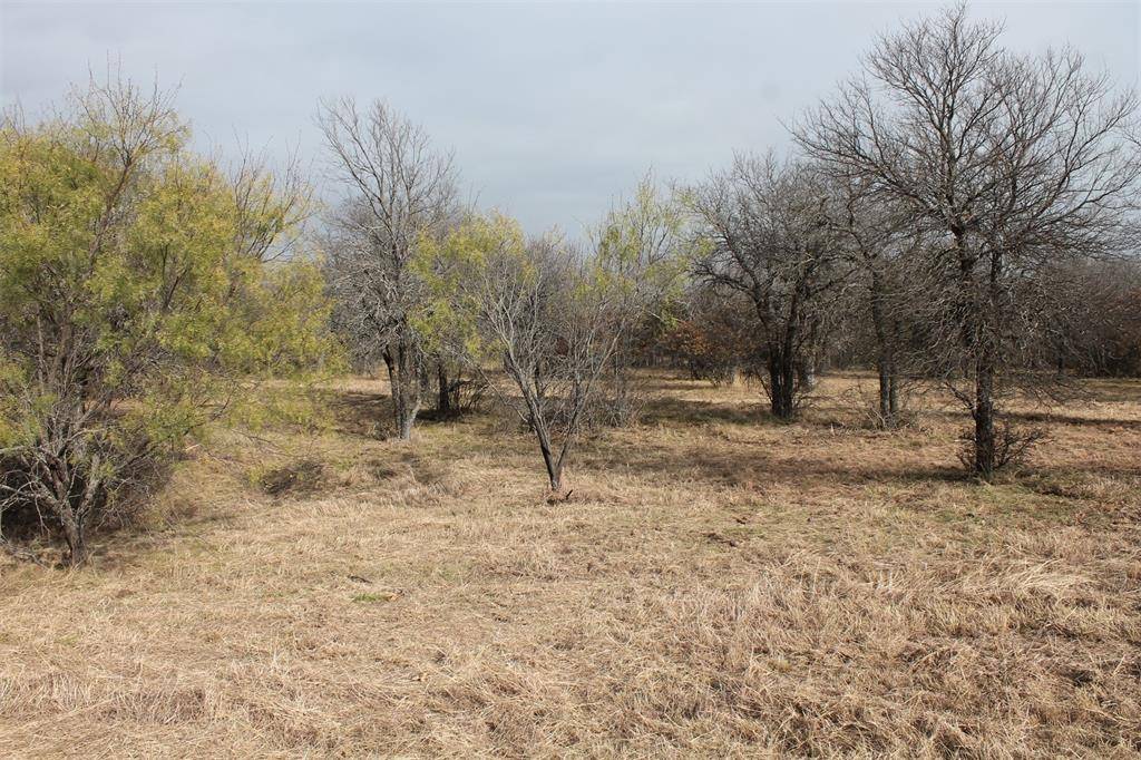 Chico, TX 76431,Lot 203 Ridgeline Drive