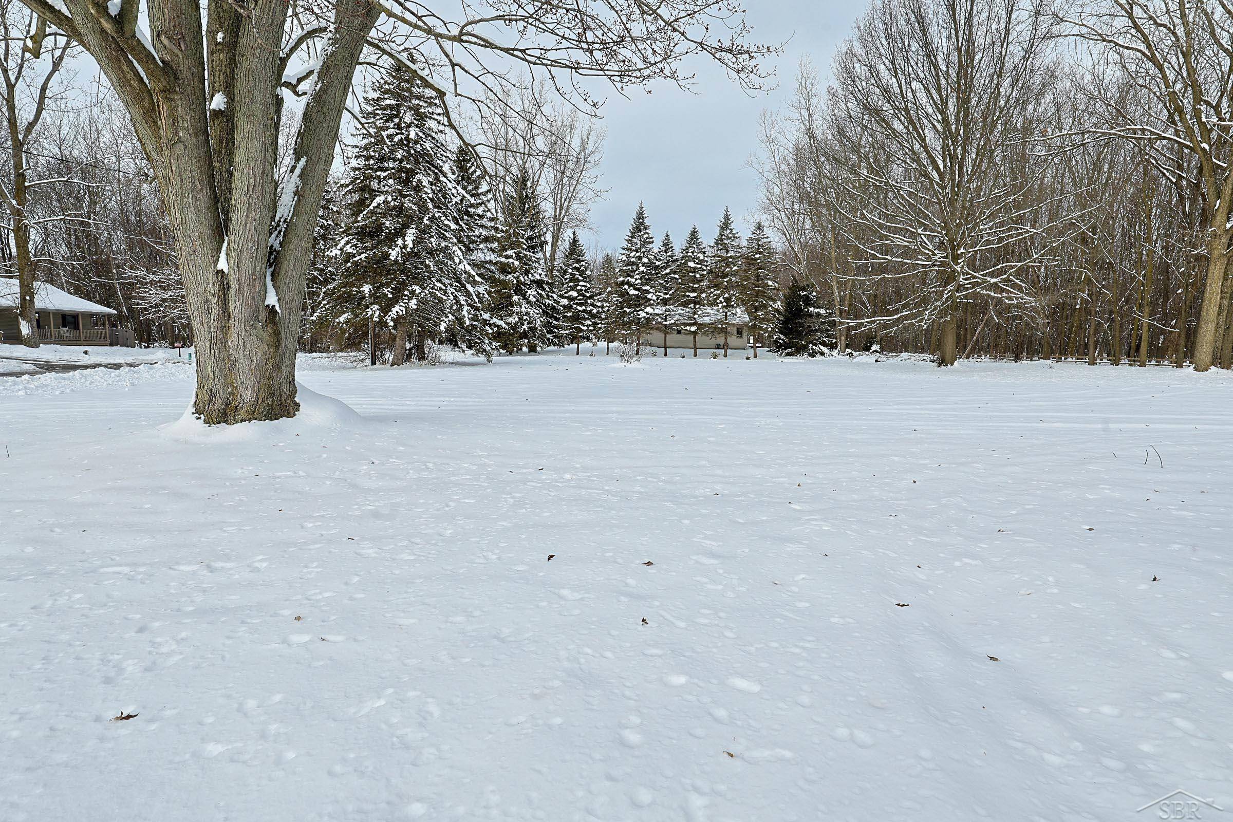 Hemlock, MI 48626,3091 E Navaho TRL