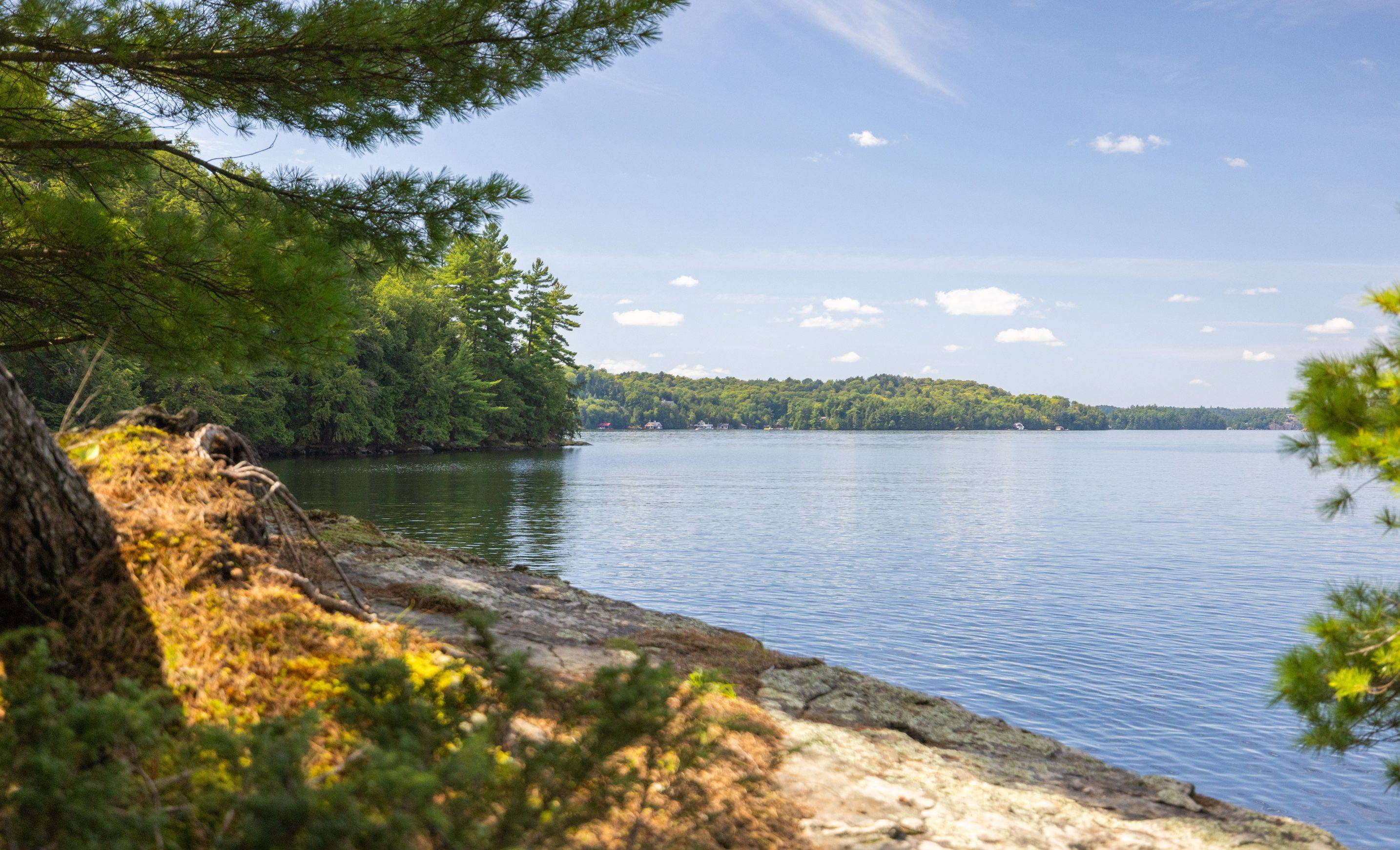 Muskoka Lakes, ON P0C 1J0,1124 Coate RD #8