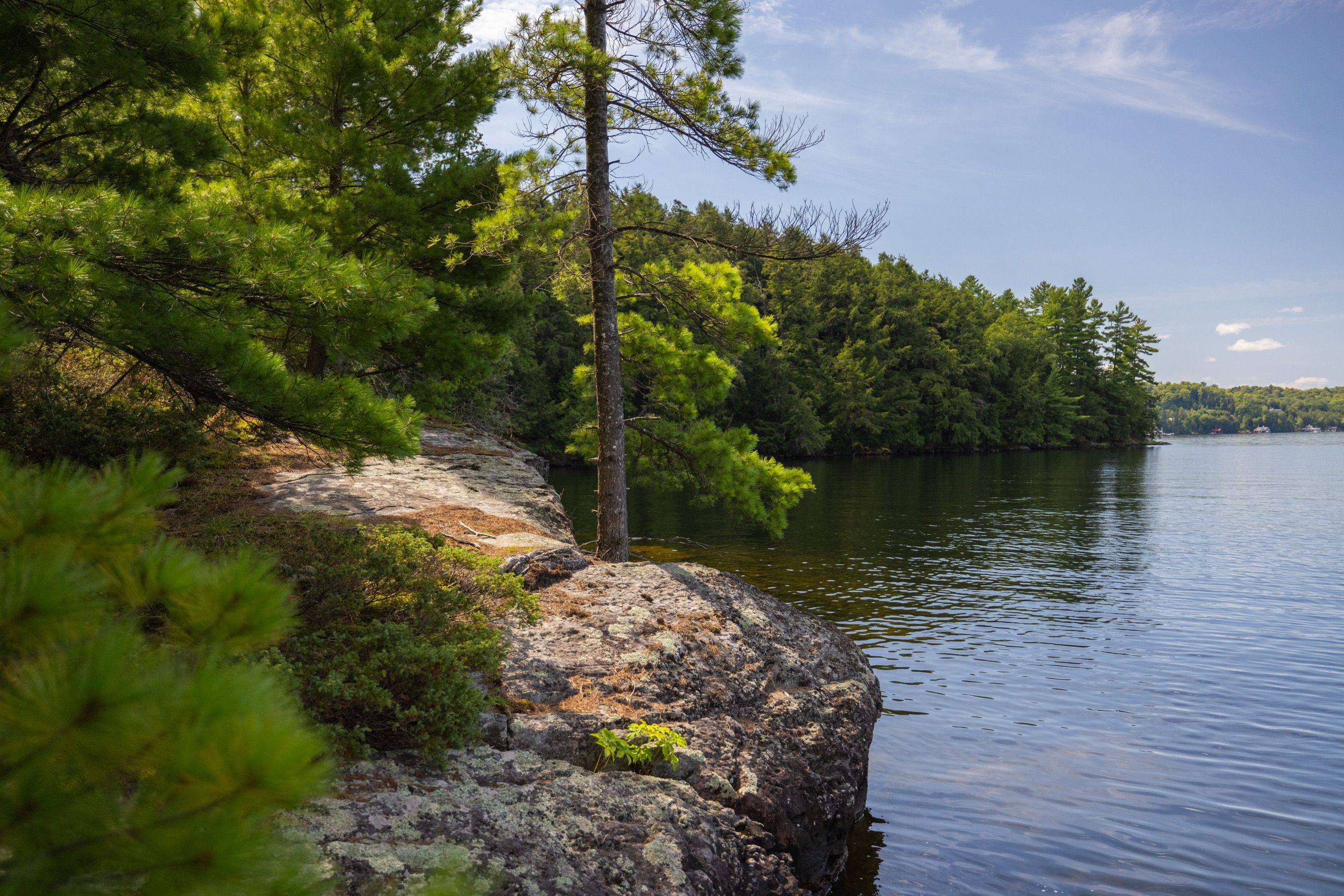 Muskoka Lakes, ON P0C 1J0,1124 Coate RD #8