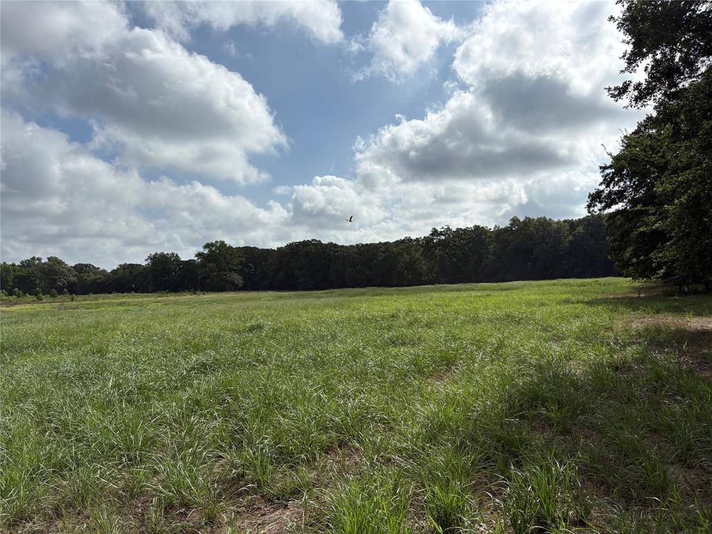 Talco, TX 75487,1411 County Road Ne 2120 #Tract 1