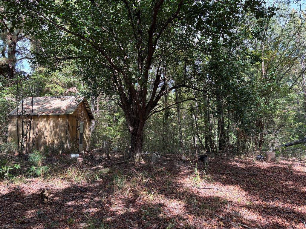 Palestine, TX 75803,0 An County Road 4775