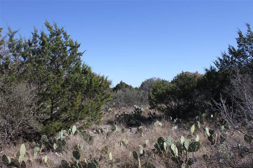 No City, TX 76877,287 High Plains Drive