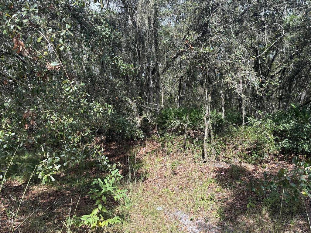 Kathleen, FL 33849,0 County RD 54 E