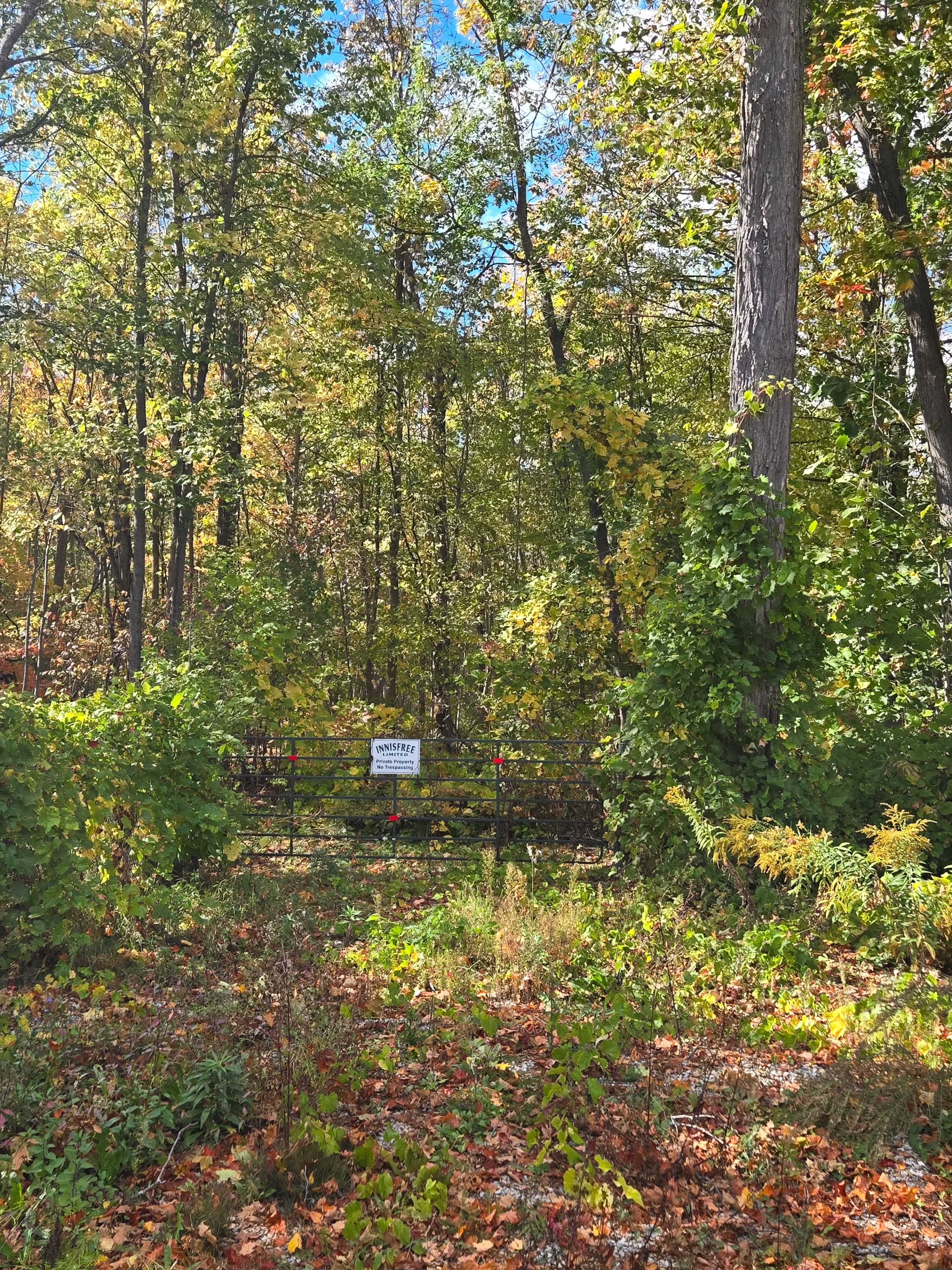 Innisfil, ON L0L 1K0,414 Limerick ST