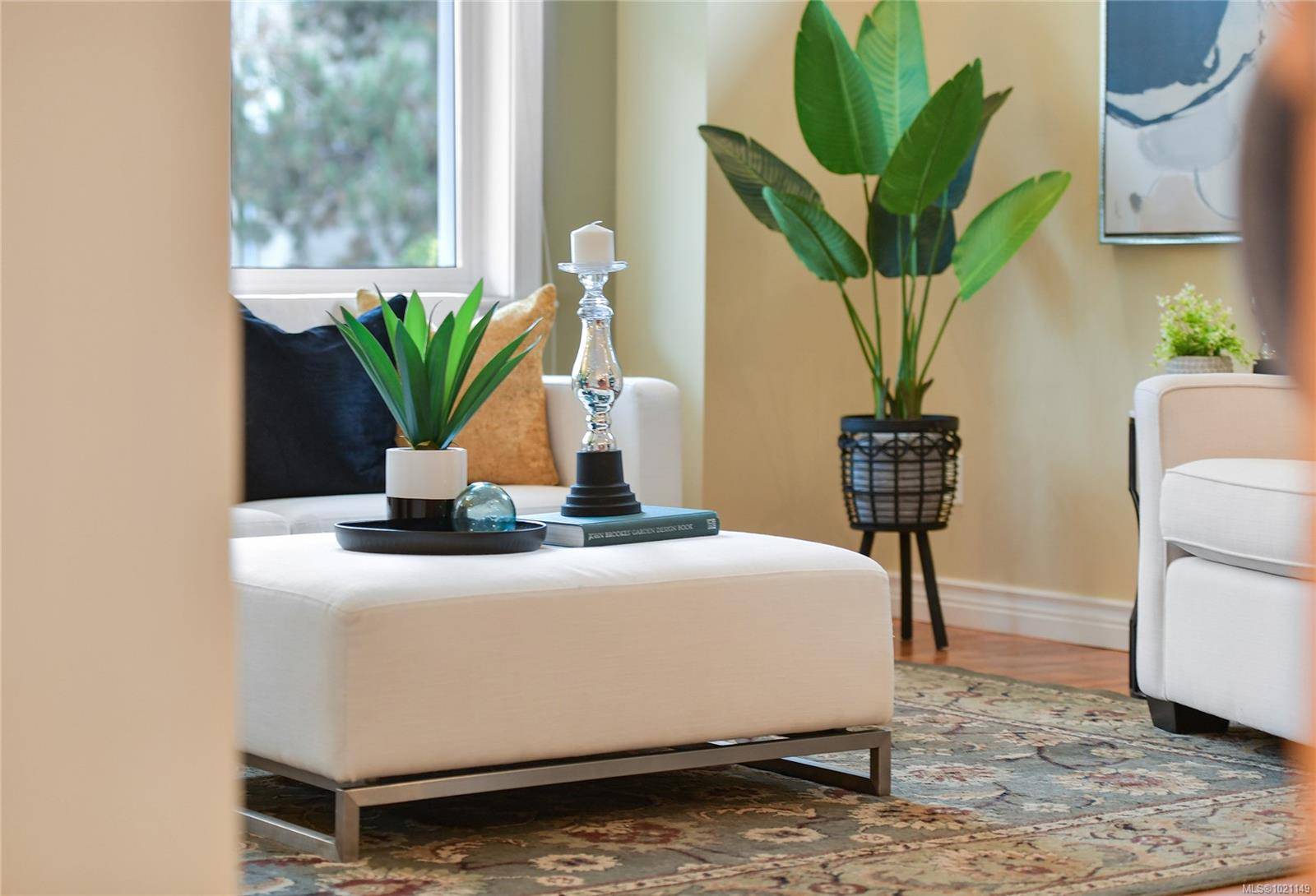 Victoria, BC V8T 3E3,1515 Camosun St #1