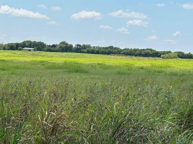 Grandview, TX 76050,10328 A County Road 418