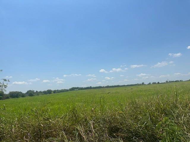 Grandview, TX 76050,10328 A County Road 418