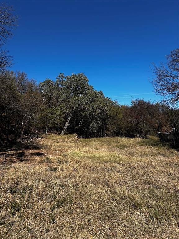 Mineral Wells, TX 76067,TBD NW 9th Street
