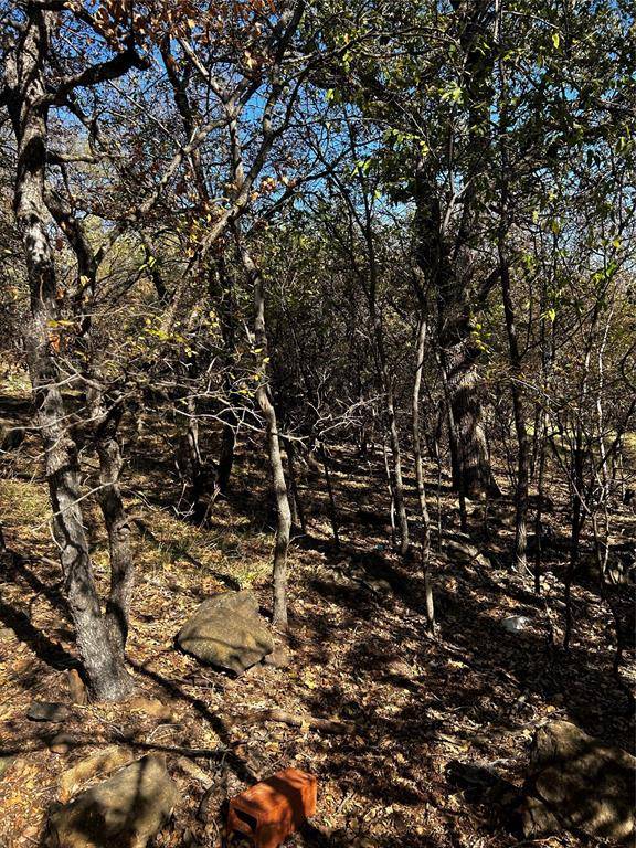 Mineral Wells, TX 76067,TBD NW 9th Street