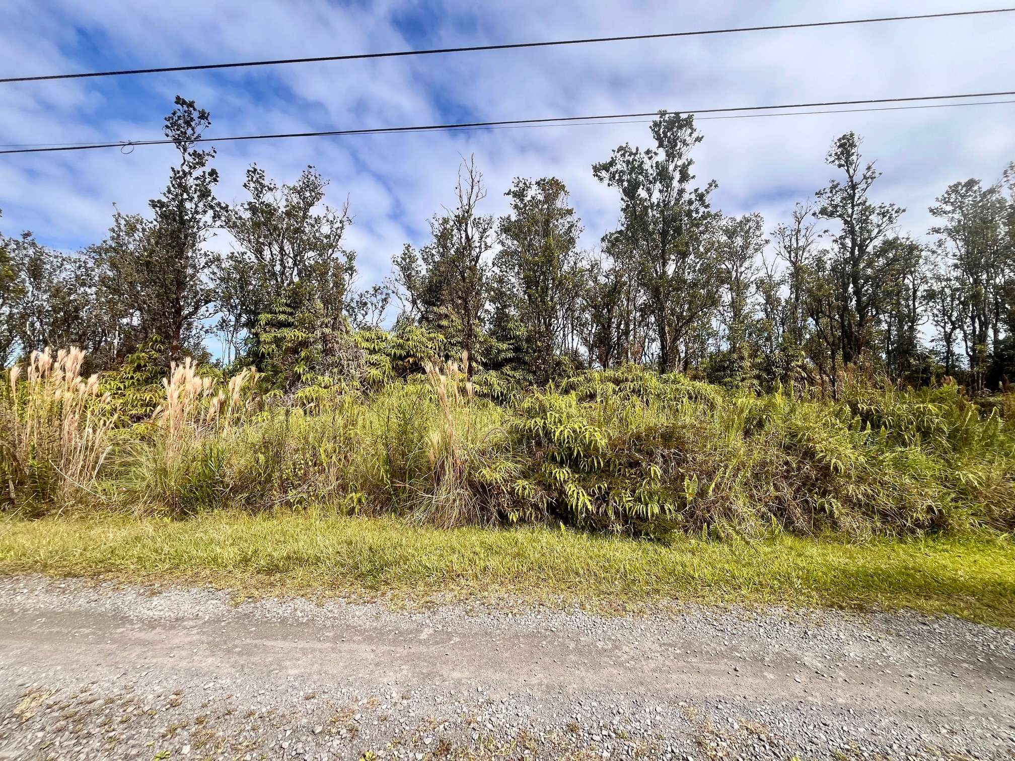 11-3214 LAUPAKA RD, Volcano, HI 96785