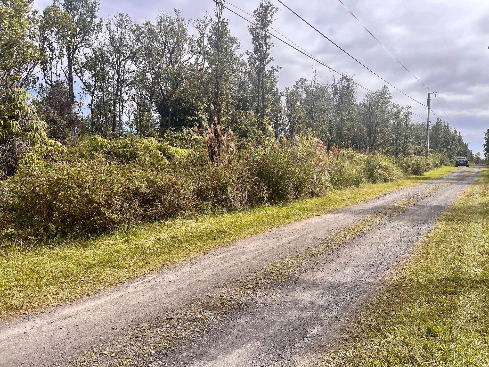 11-3214 LAUPAKA RD, Volcano, HI 96785