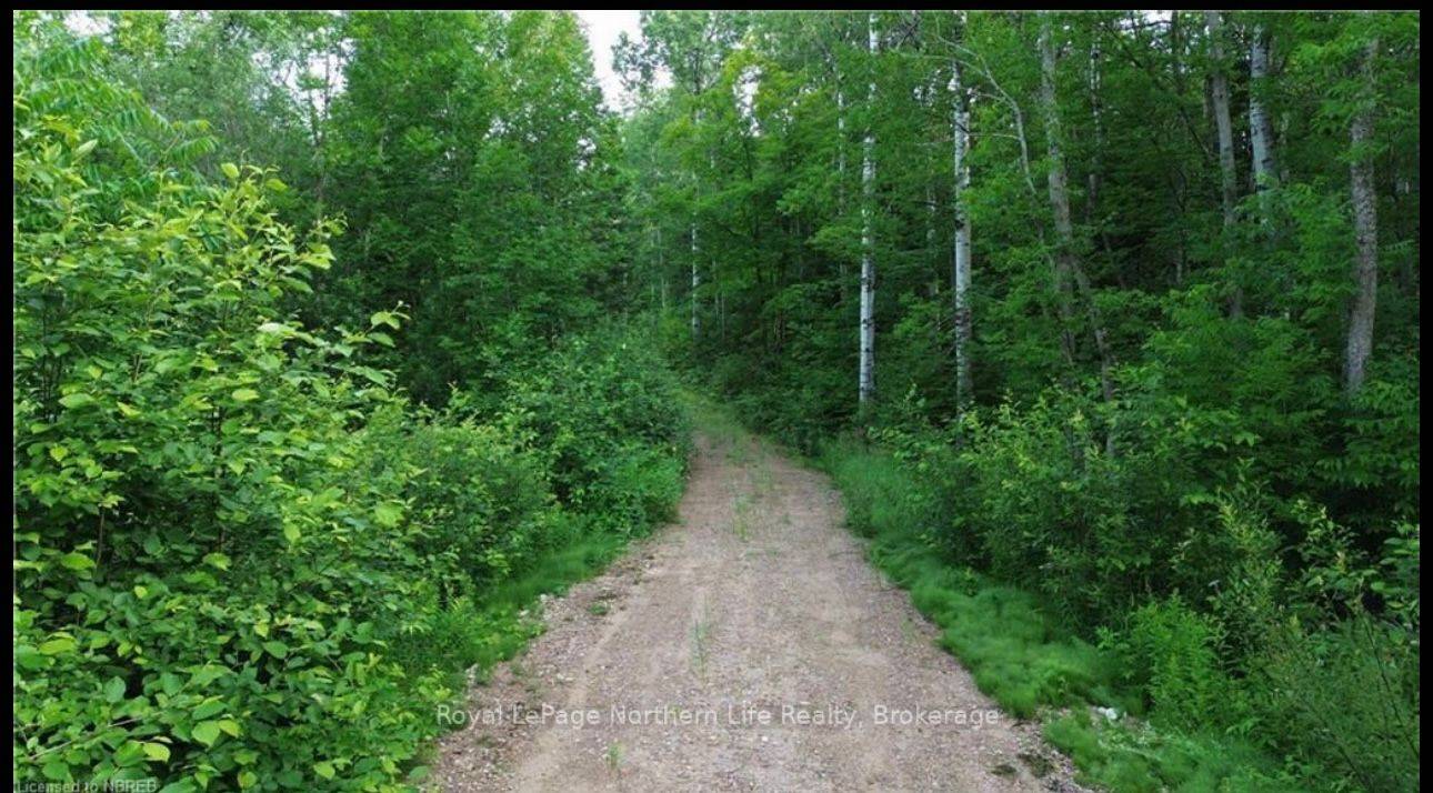 Bonfield, ON P0H 2E0,PT LT 24 Con 5 Boxwell RD