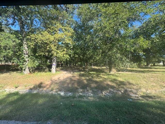 Hudson Oaks, TX 76087,TBD Allie Court