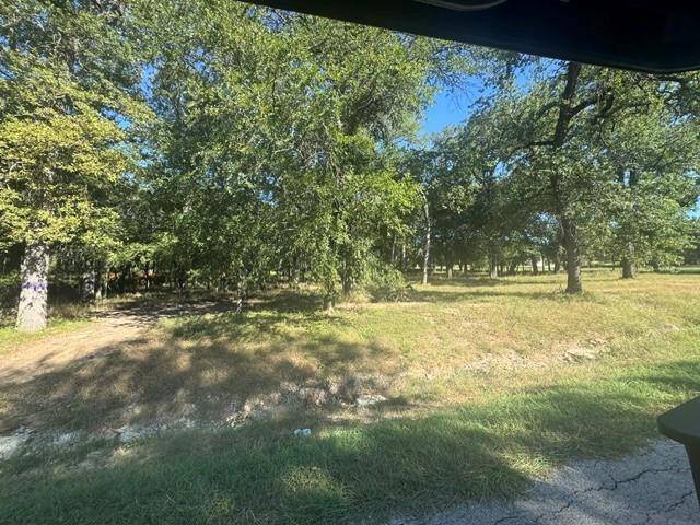 Hudson Oaks, TX 76087,TBD Allie Court