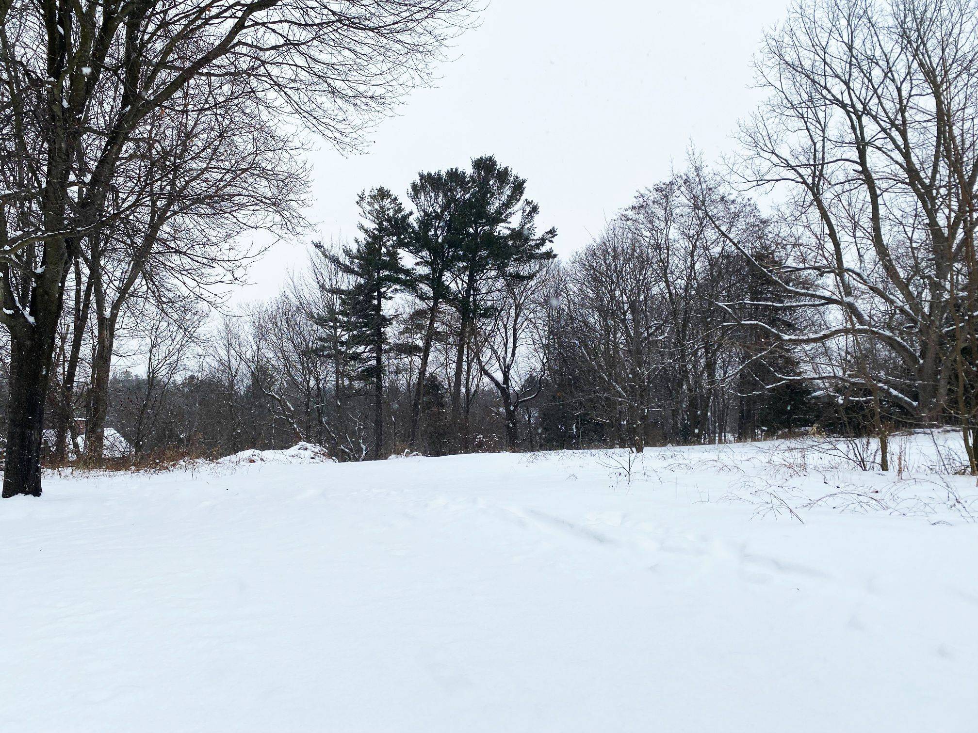 Port Hope, ON L1A 1V3,106 Bruton ST