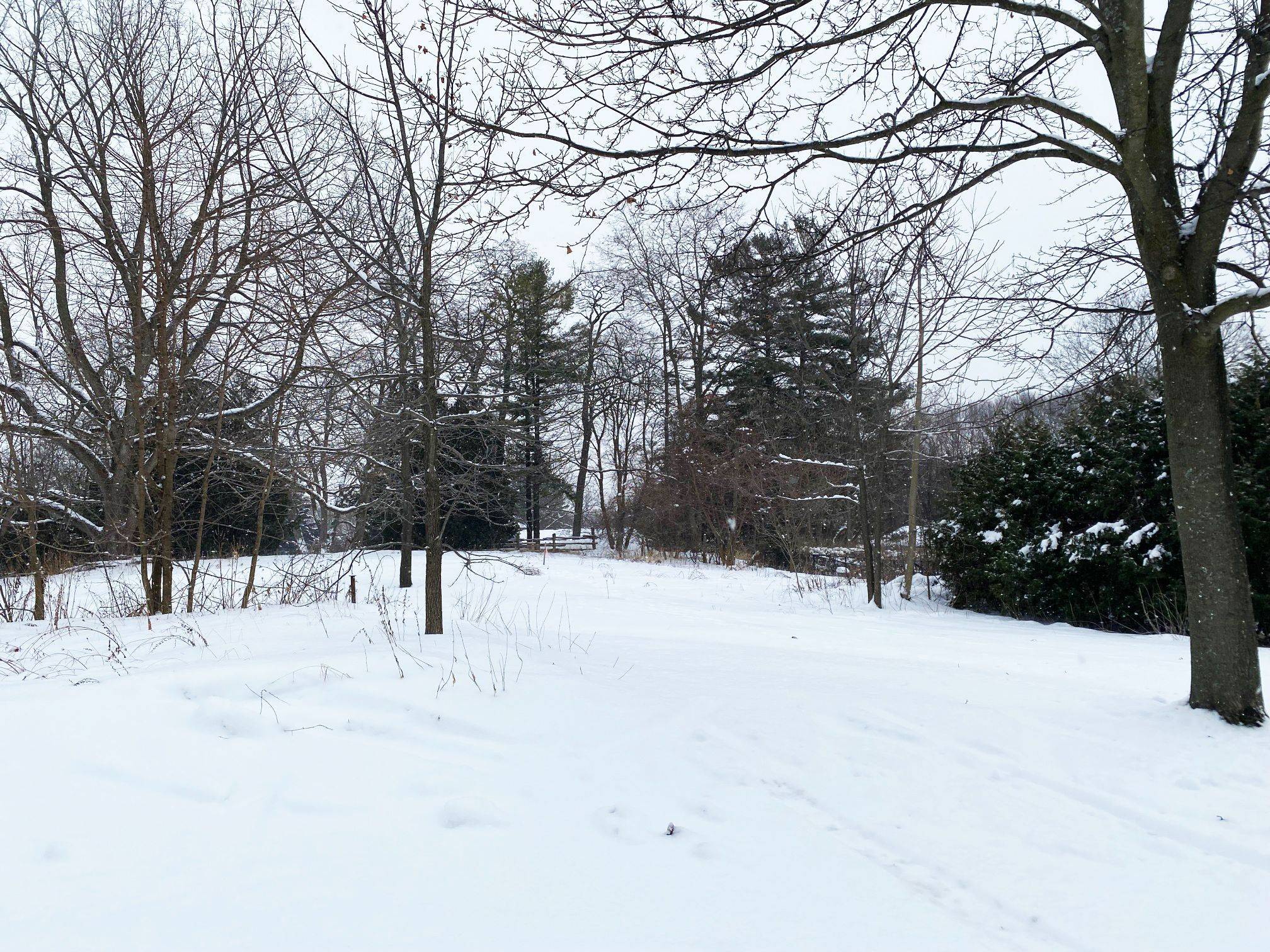 Port Hope, ON L1A 1V3,106 Bruton ST