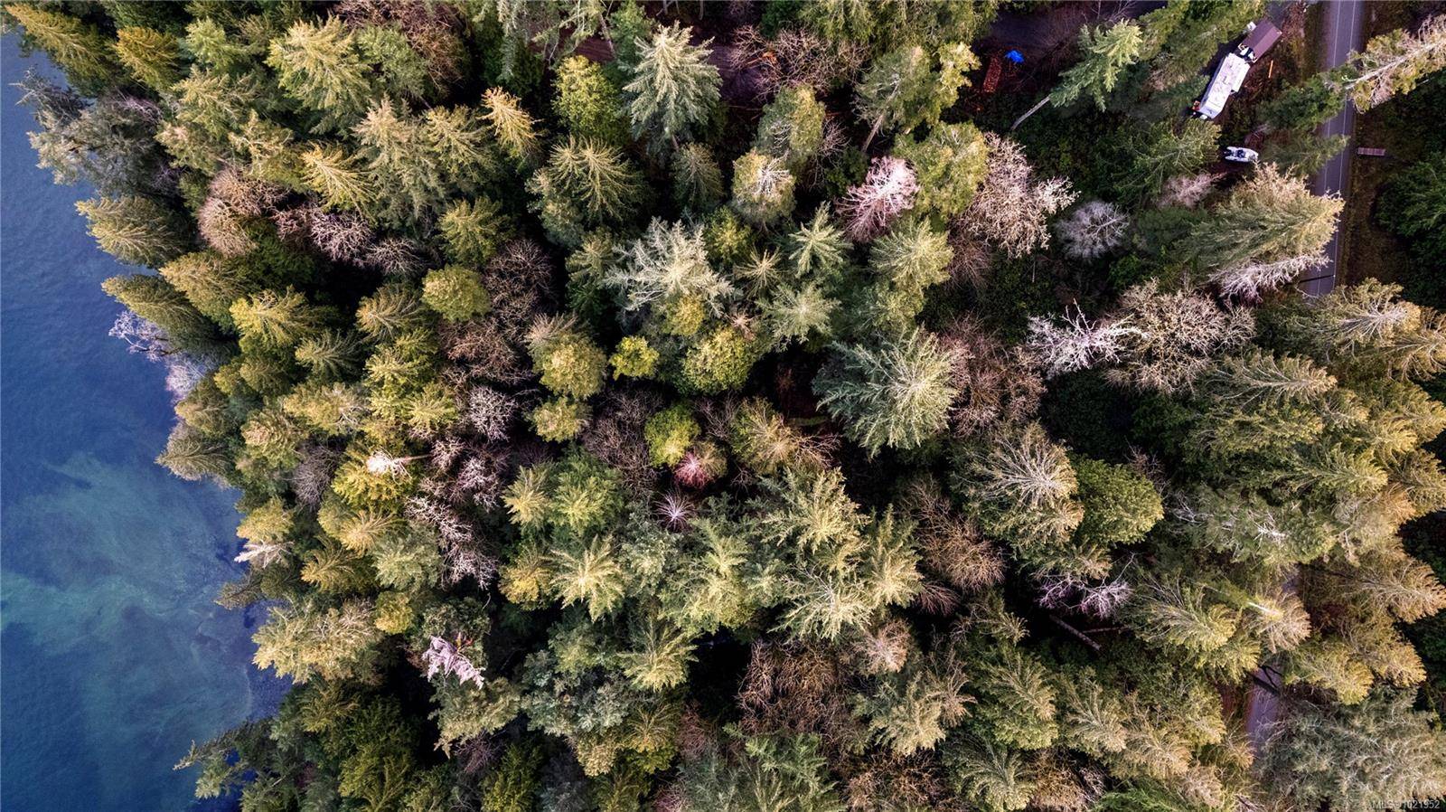 Duncan, BC V9L 5Y6,8849 Stoney Hill Rd