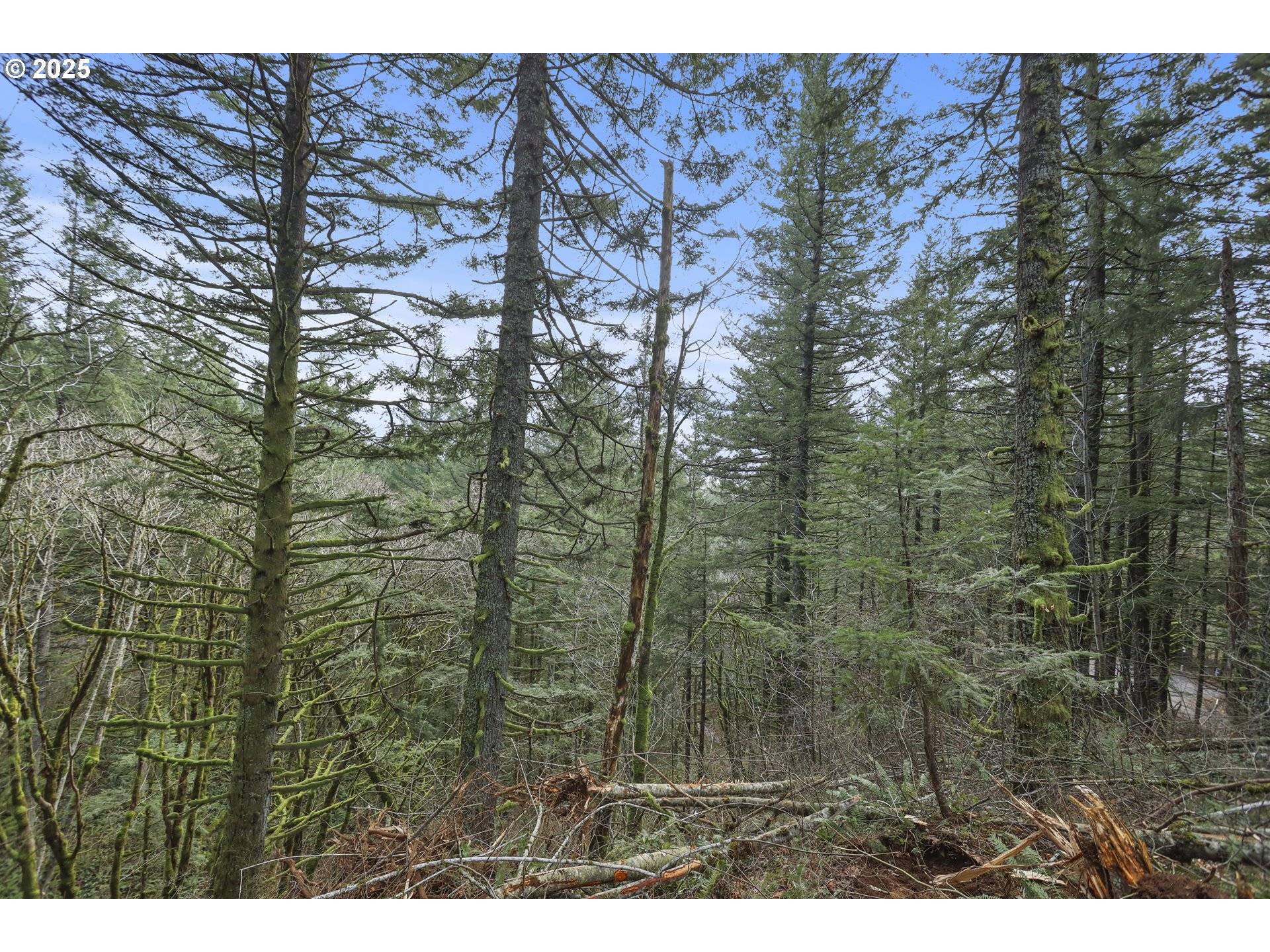 Skamania, WA 98648,KUEFFLER RD