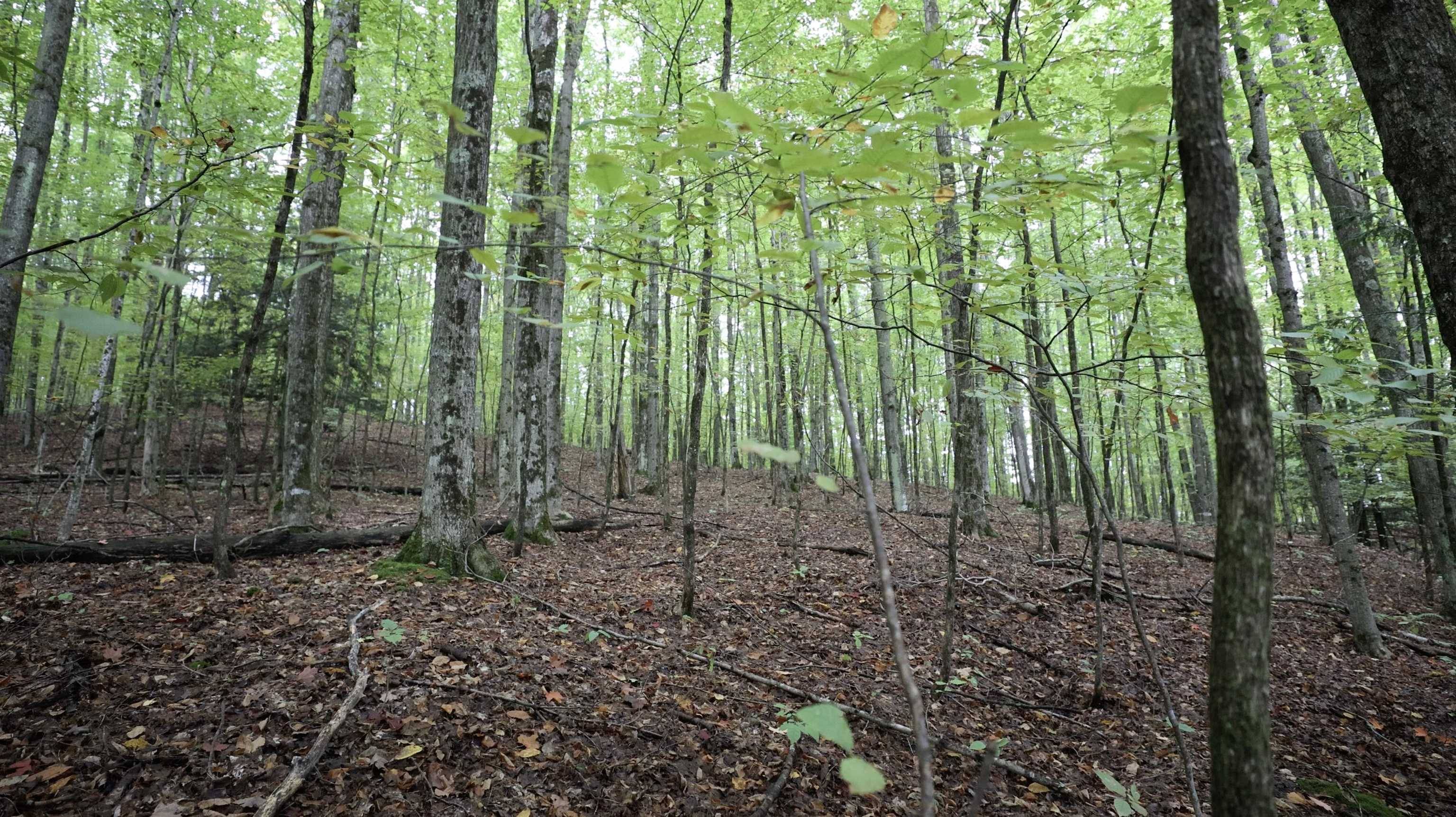 Traverse City, MI 49685,TBD Hoosier Valley RD