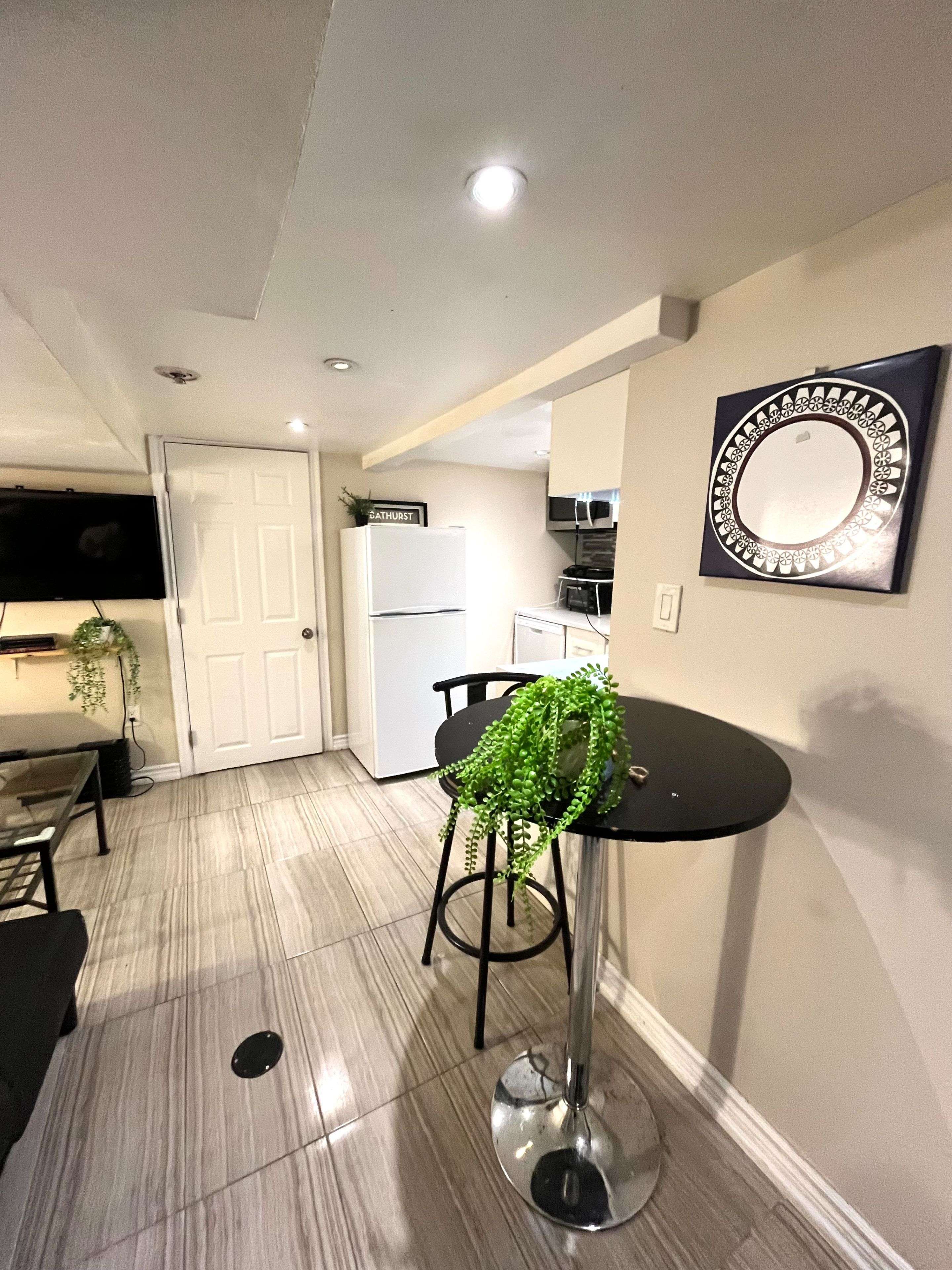 Toronto C01, ON M5T 2S3,234 Bathurst ST #BSMNT