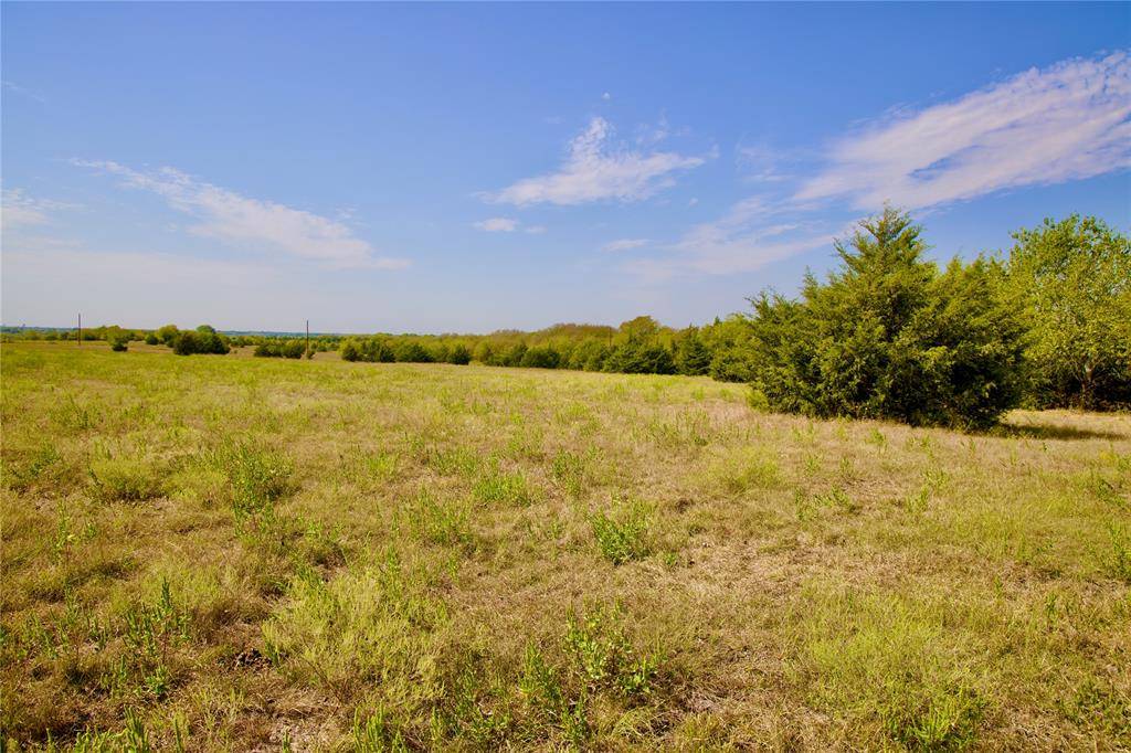 Dodd City, TX 75438,Tract 1 County Road 2935