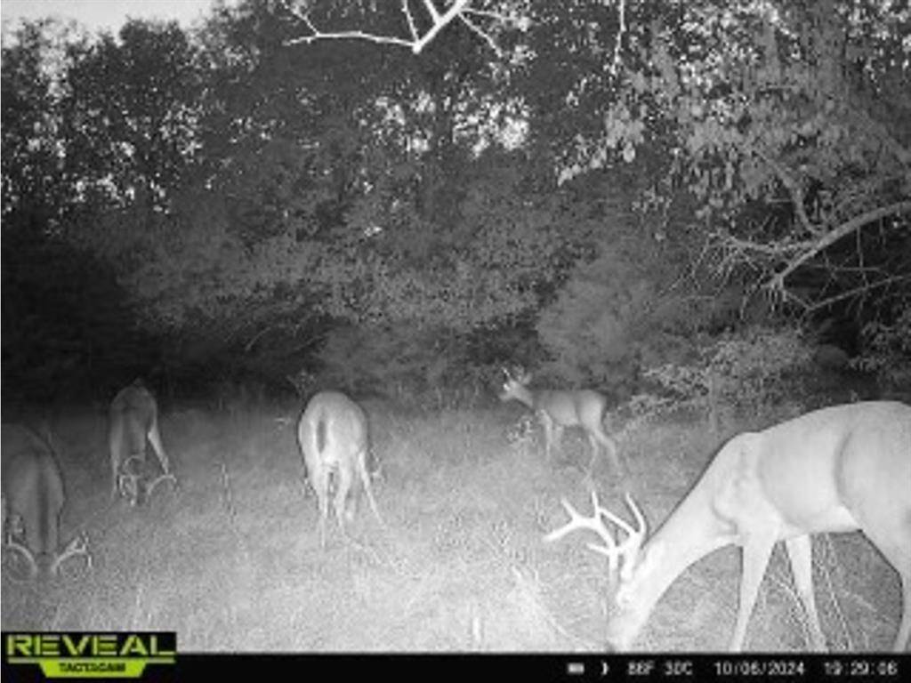 Dodd City, TX 75438,Tract 1 County Road 2935