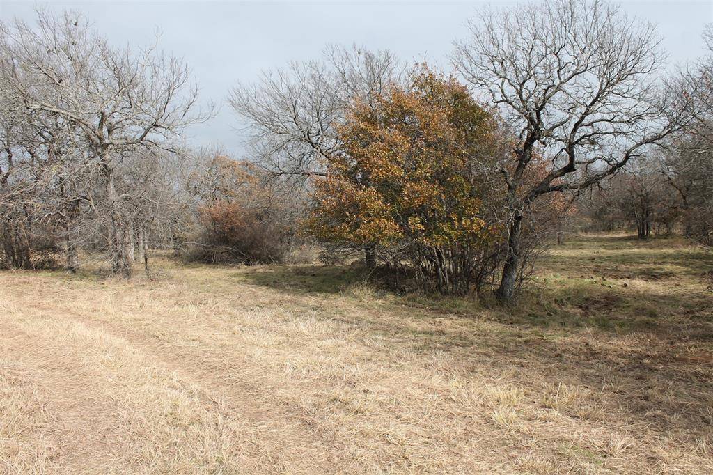 Chico, TX 76431,2 Lots Ridgeline Drive
