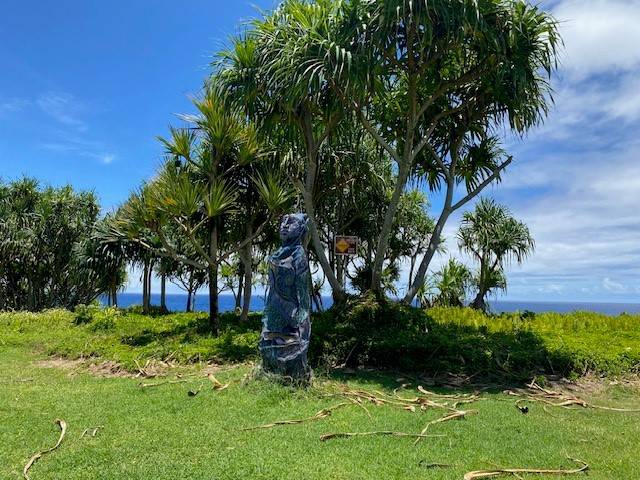 Pahoa, HI 96778,15-174 PUNI LAPA LOOP