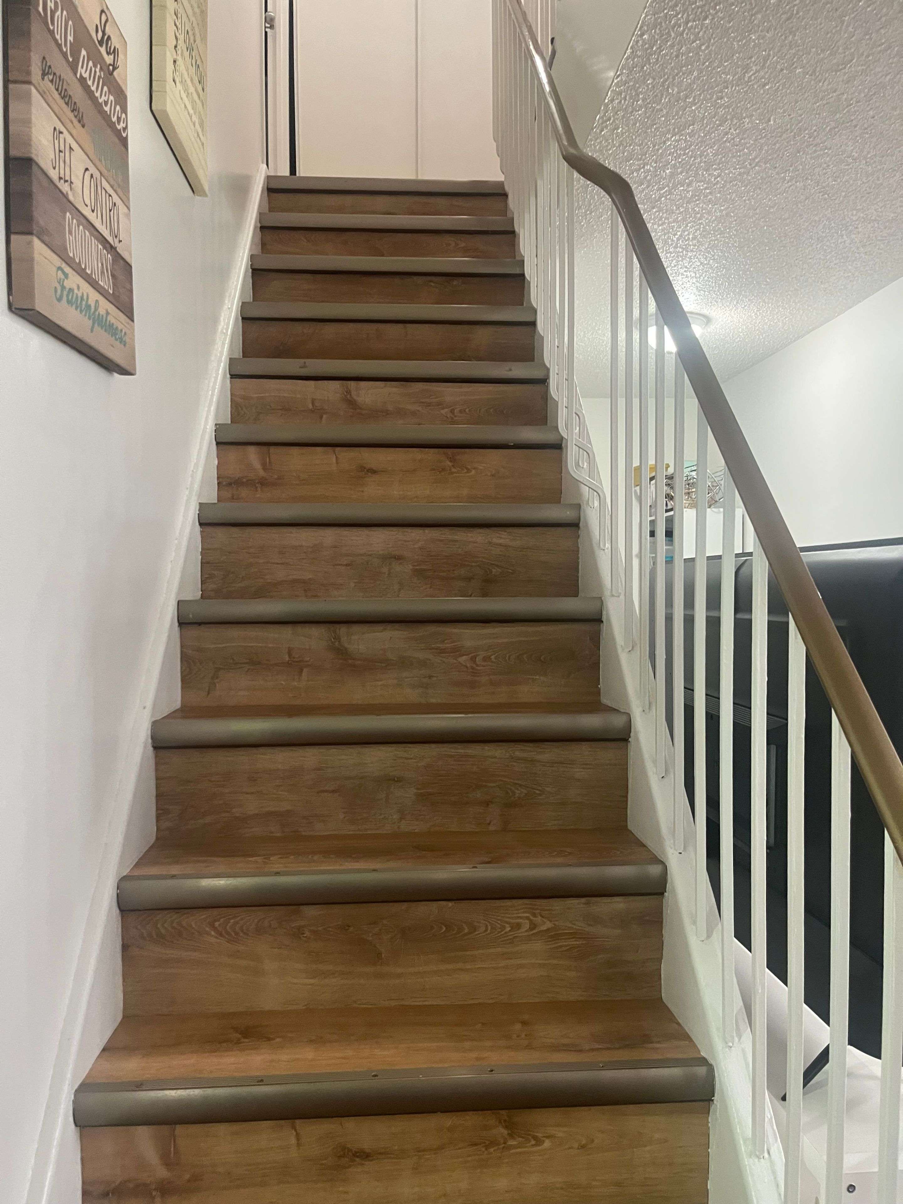 Toronto E09, ON M1E 4X2,100 Mornelle CT E #1023