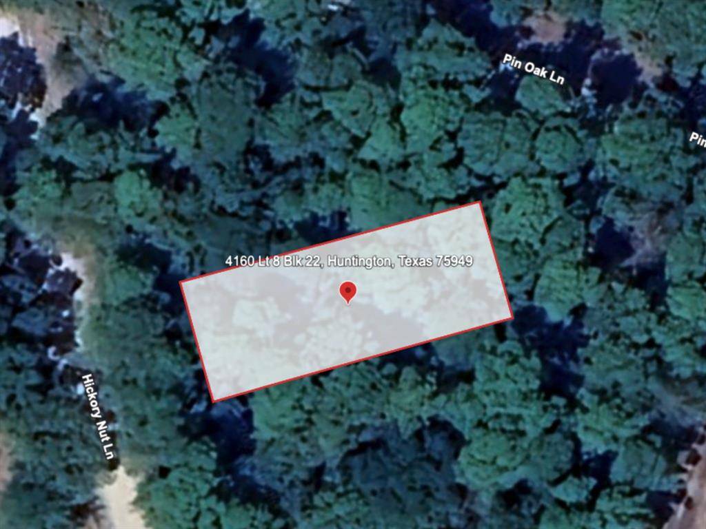 Huntington, TX 75949,4160 LT 8 BLK 22