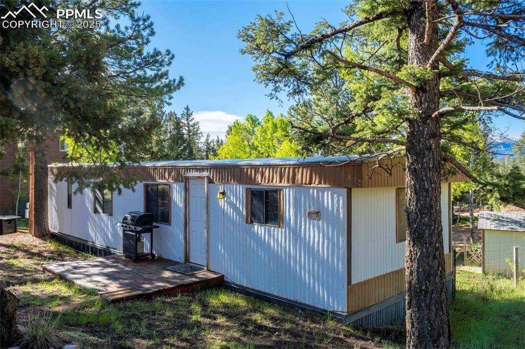 Woodland Park, CO 80863,310 Blossom RD