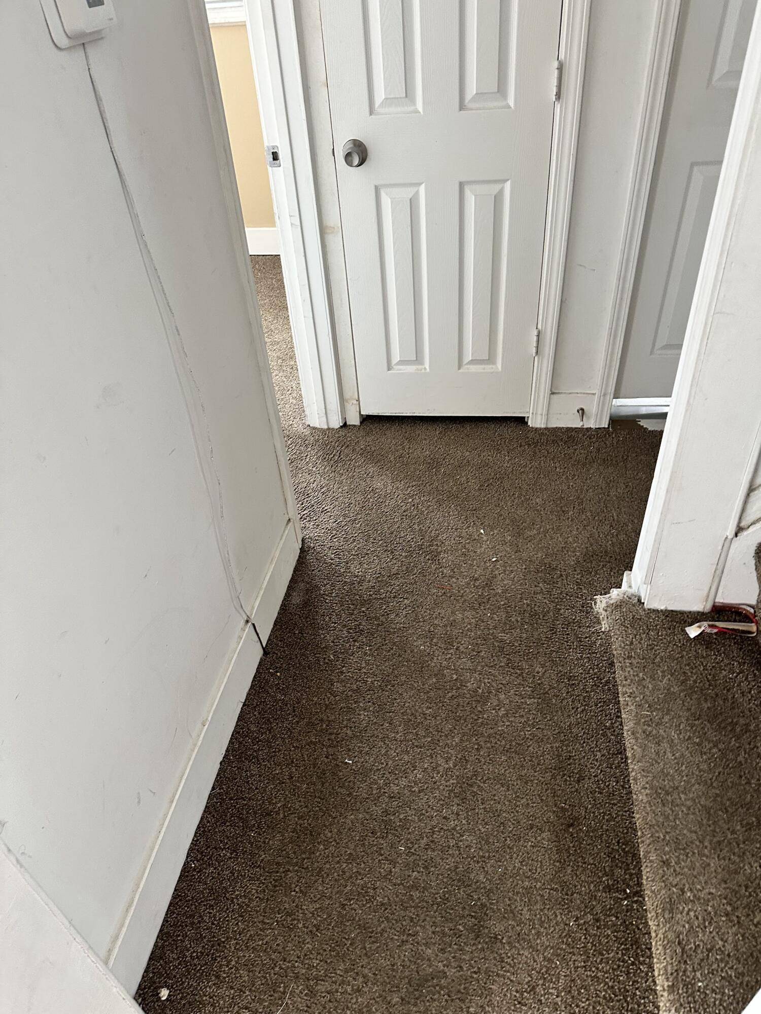 Detroit, MI 48234,17892 Runyon ST