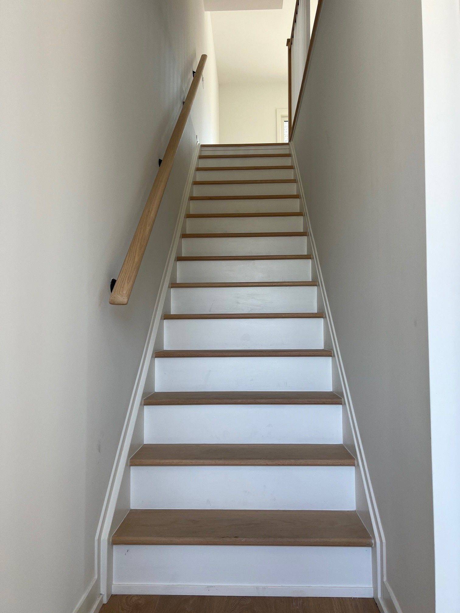 Toronto C13, ON M4A 1C5,19 Case Ootes DR