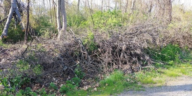 Hampton Twp., NJ 07860,37 Cypress Dr