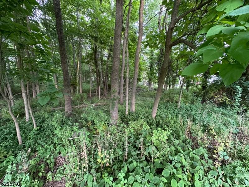 West Caldwell Twp., NJ 07006,L1101 Fairfield Ave