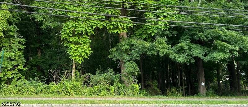 West Caldwell Twp., NJ 07006,L1101 Fairfield Ave