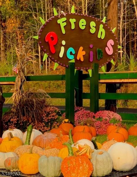 Sandyston Twp., NJ 07851,187 Us Highway 206